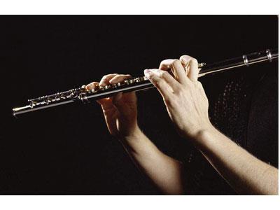 招聘菏泽长笛家教老师